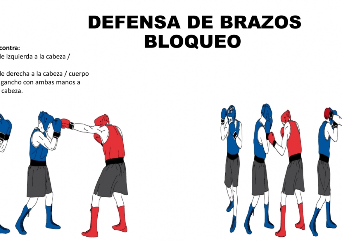 Imagen 1