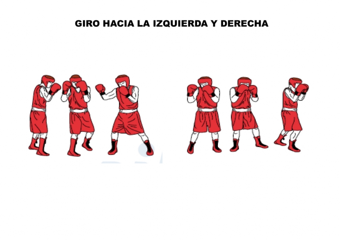 Imagen 1